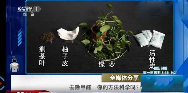 除甲醛你还在用这老三样，但大家用远大新风机